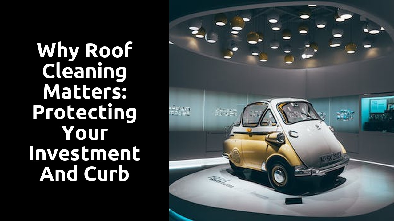 Why Roof Cleaning Matters: Protecting Your Investment and Curb Appeal